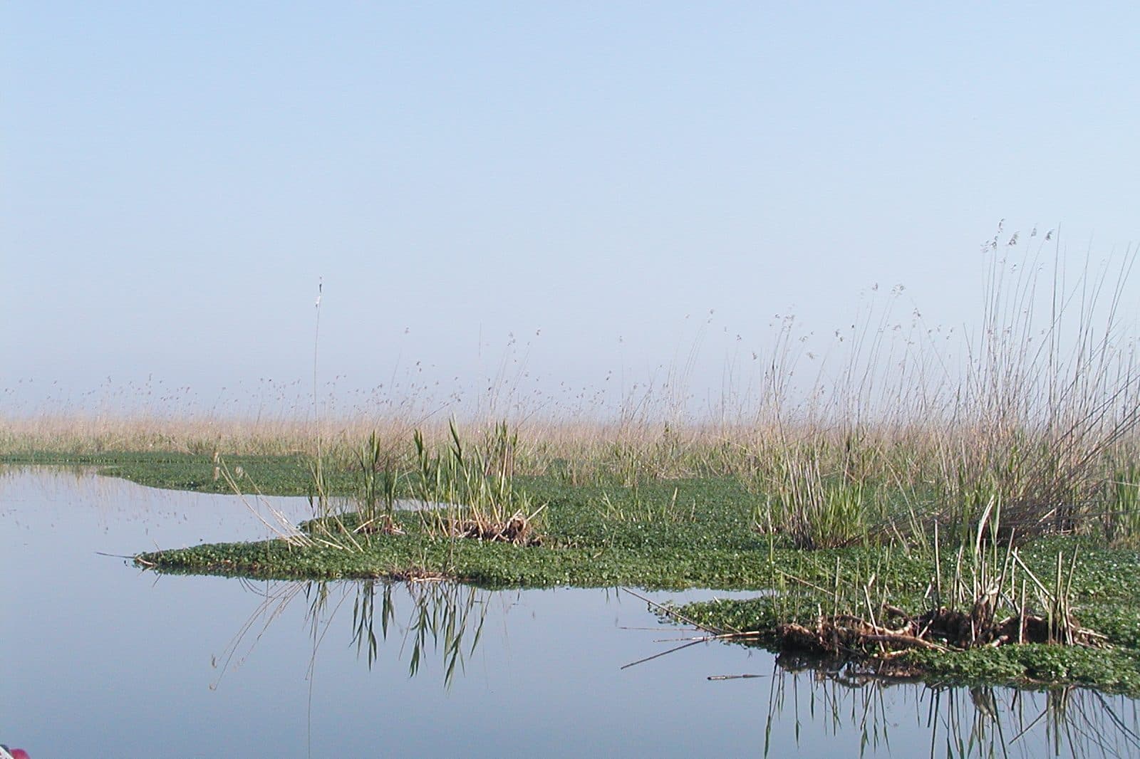 Bandar-e Anzali