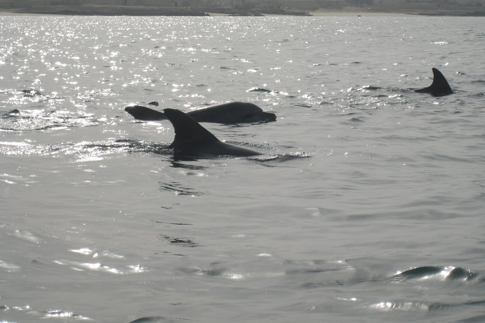Hengam Island