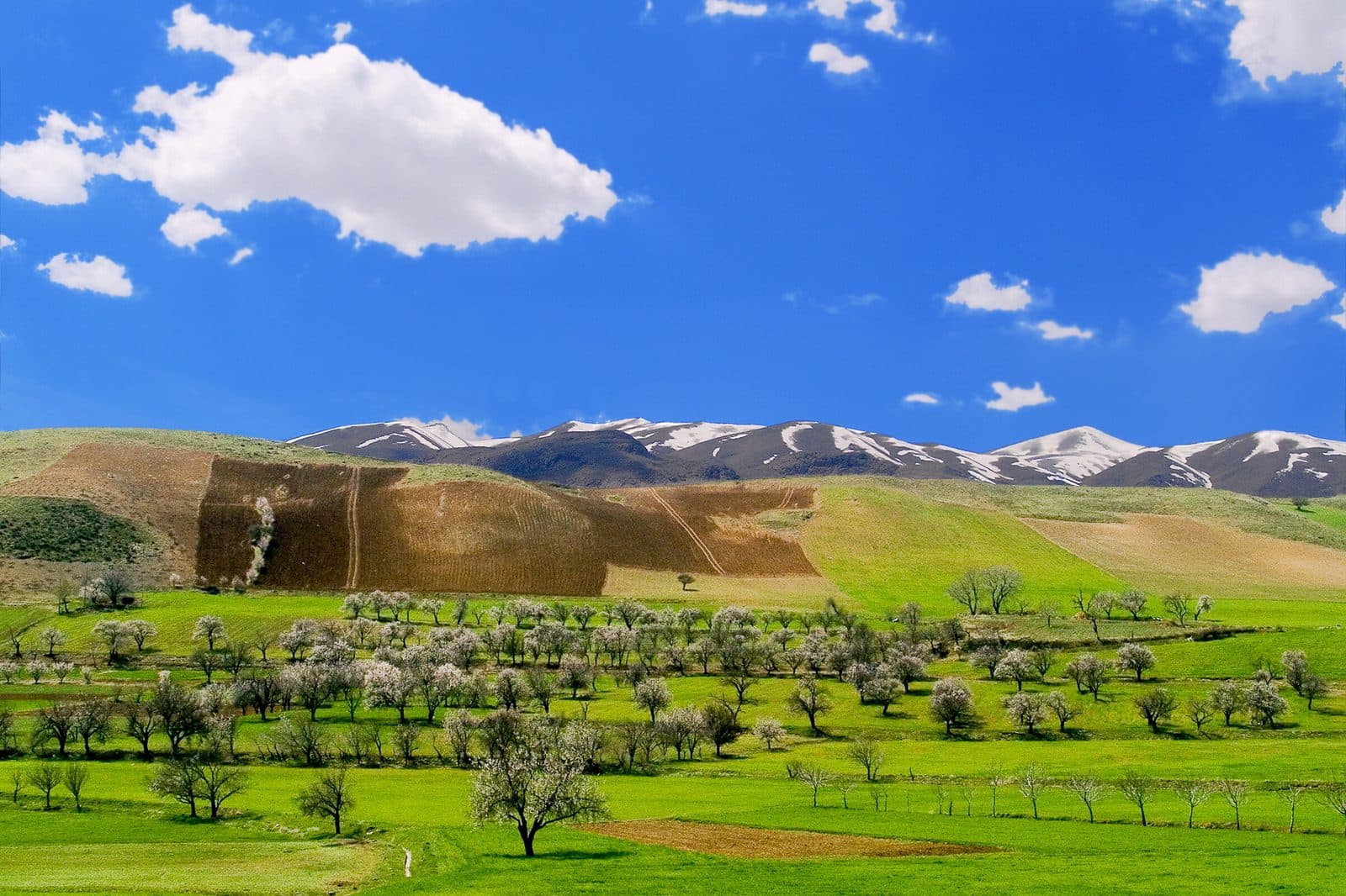 Sanandaj